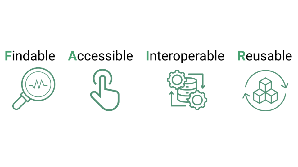 Cover image of the FAIR Principles